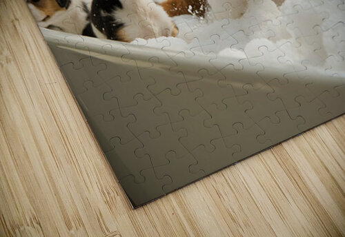 Labrador Puppys First Bath Time Adventure Puppy Prints puzzle