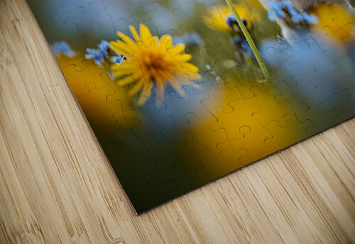 Happy Chihuahua Puppy After Sniffing Dandelion Puppy Prints puzzle