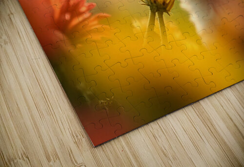 Chihuahua Puppy Discovers A Yellow Dandelion Puppy Prints puzzle