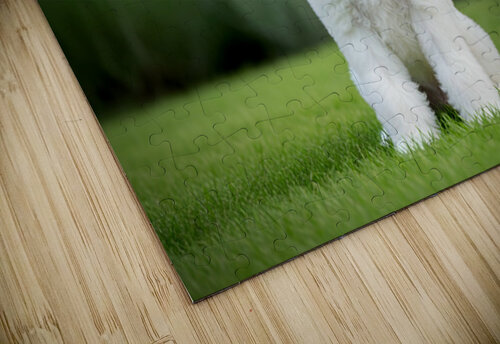 Proud Poodle Puppy Masters Stay Command Puppy Prints puzzle