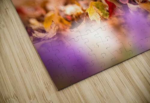 Rottweiler Puppy Discovers Autumn Leaf Pile Puppy Prints puzzle