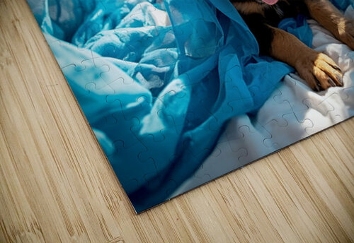 Brave Rottweiler Puppy Sits Confidently By Green Curtains Puppy Prints puzzle