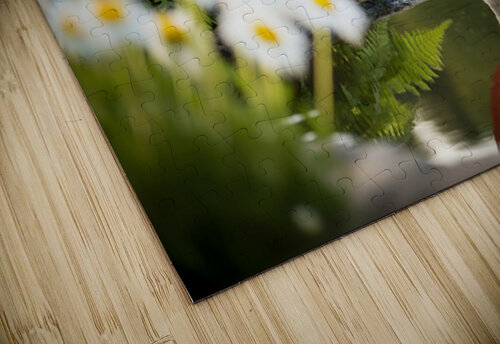 Happy French Bulldog Puppy Rests In Shade Under His Hat Puppy Prints puzzle