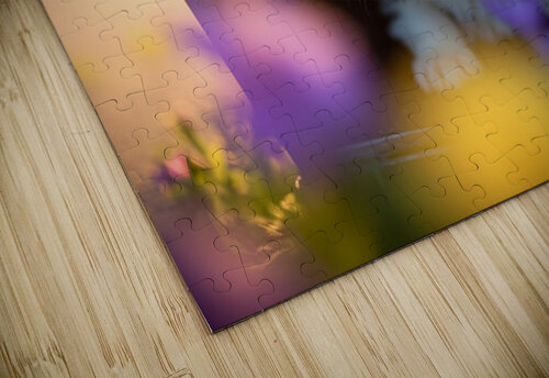 Border Collie Puppy Discovers Perfect Hiding Spot Puppy Prints puzzle