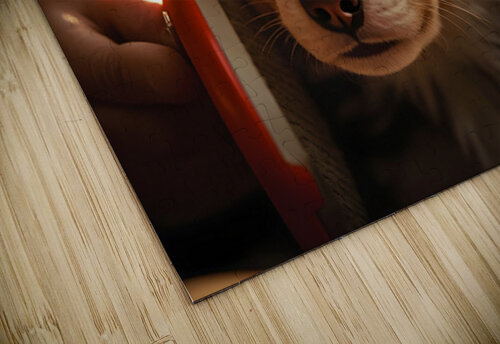 Australian Shepherd Puppys First Brush Encounter Puppy Prints puzzle