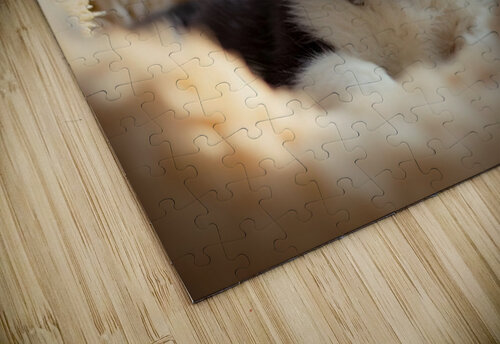 Sleepy Siberian Husky Puppy Dreams In Cozy Bed Puppy Prints puzzle