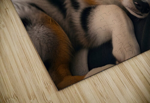 Australian Shepherd Puppys Perfect Nap Spot Puppy Prints puzzle