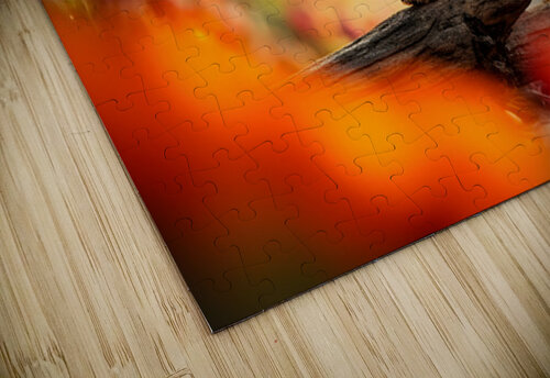 Yorkshire Terrier Puppy Naps After Stick Adventure Puppy Prints puzzle