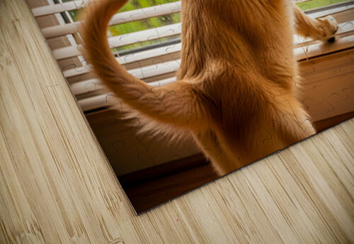 Golden Retriever Puppy Watches Rain Through Window Puppy Prints puzzle