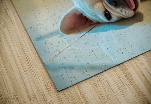 French Bulldog Puppy Discovers The Perfect Sploot Position Puppy Prints puzzle