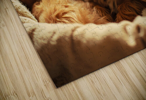 Yorkshire Terrier Puppy In Cozy Laundry Basket With Friends Puppy Prints puzzle