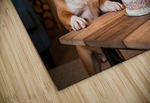 Bulldog Puppy With Golden Crown At Birthday Party Puppy Prints puzzle