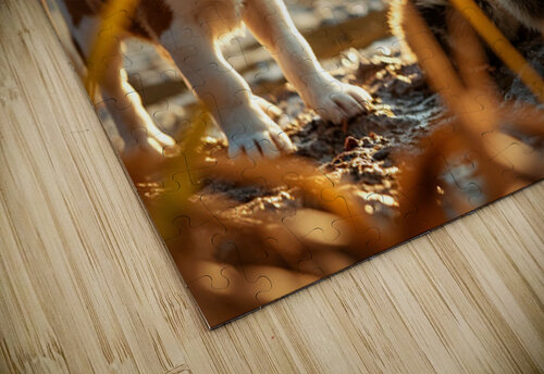 Beagle Puppy Explores By The Pond Puppy Prints puzzle