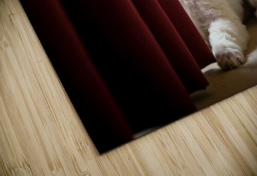 Poodle Puppy Plays Hide And Seek Behind Curtain Puppy Prints puzzle