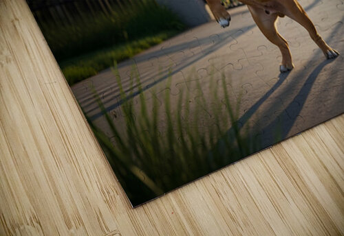 Bulldog Puppy Jumps With Joy At School Gate Puppy Prints puzzle