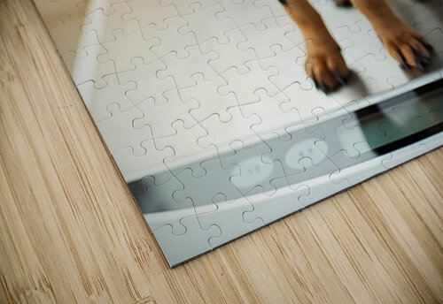 Brave Puppy Completes The Weighing Puppy Prints puzzle