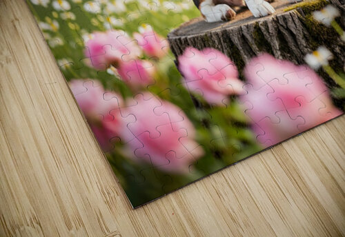 Proud Beagle King Rules His Domain Puppy Prints puzzle