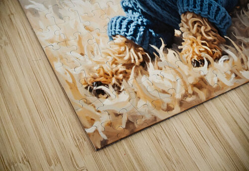 Poodle Puppys Sweater Adventure Begins Puppy Prints puzzle