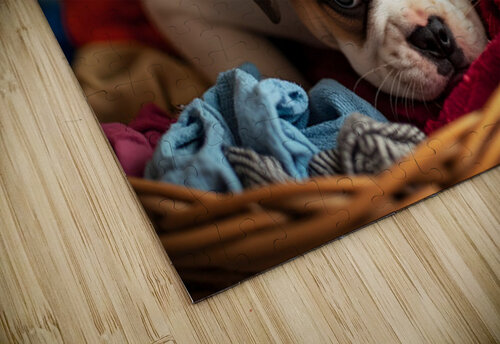 Bulldog Puppy Discovers The Laundry Basket Puppy Prints puzzle