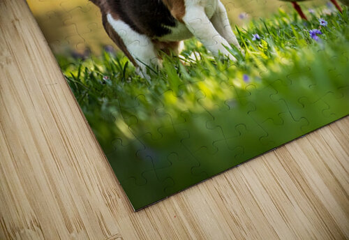 Beagle Puppys Peaceful Moment With Duck Friends Puppy Prints puzzle