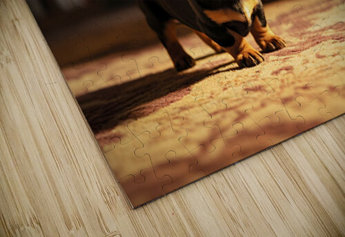 Dachshund Puppy Gets Ready For Birthday Celebration Puppy Prints puzzle