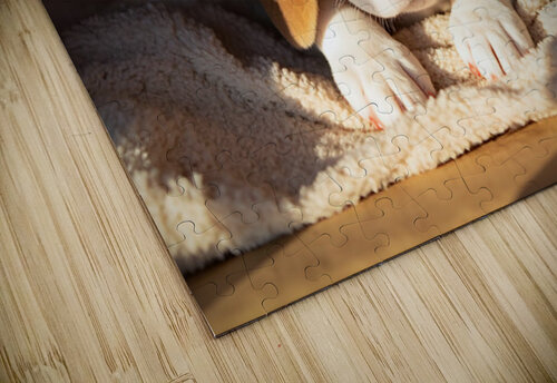 Beagle Puppy Listens From Hidden Box Fort Puppy Prints puzzle