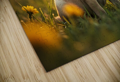 Pug Puppy Discovers Real Magic In Play Puppy Prints puzzle