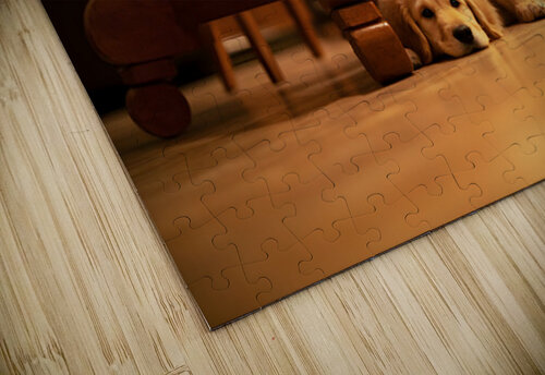 Curious Puppy Peeks From Behind Bookshelf Puppy Prints puzzle