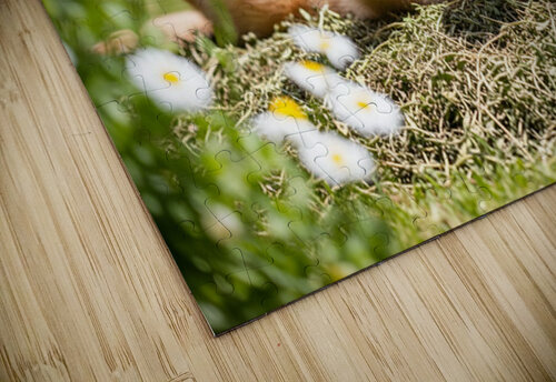 Herby Golden Puppy After Rolling Session Puppy Prints puzzle