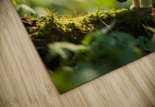 Pug Puppys Magical Garden Adventure Begins Puppy Prints puzzle