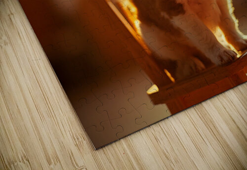 Chihuahua Puppy Discovers The Perfect Rocking Chair Puppy Prints puzzle