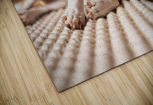 Chihuahua Puppy Falls Asleep By The Fire Puppy Prints puzzle