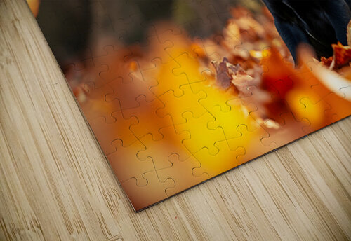 Playful Cane Corso Puppy Circles Around Tree Base Puppy Prints puzzle