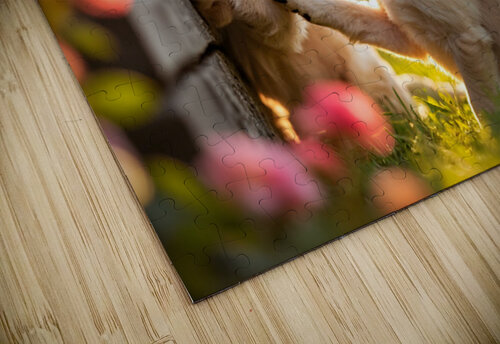 Golden Puppy Happy With New Fence Friend Puppy Prints puzzle