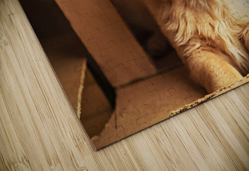 Golden Retriever Puppy Discovers Perfect Hiding Spot Puppy Prints puzzle