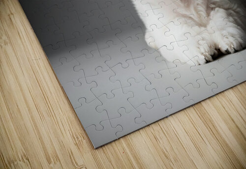 Bichon Frise Puppy Ready For Photo Session Puppy Prints puzzle