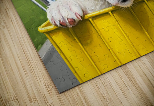 Border Collie Puppys First Bicycle Basket Adventure Begins Puppy Prints puzzle