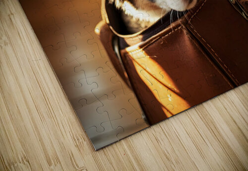 Australian Shepherd Puppy Discovers Perfect Hiding Spot Puppy Prints puzzle