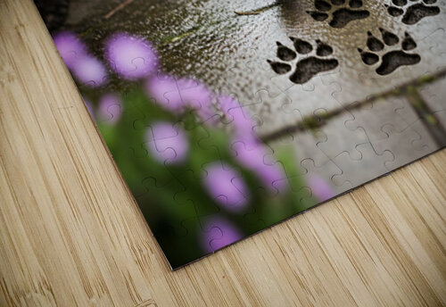 Boston Terrier Detective Puppy Begins Mystery Investigation Puppy Prints puzzle