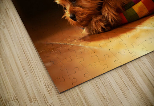Happy Yorkshire Terrier Puppy Plays With Toy Puppy Prints puzzle