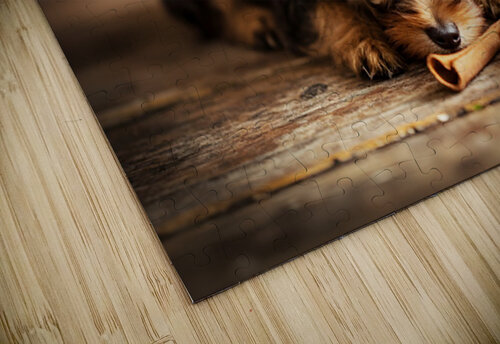 Happy Yorkshire Terrier Puppy With Nature Treasures Puppy Prints puzzle
