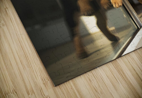 Rottweiler Puppy Discovers Glass Door Reflection Puppy Prints puzzle