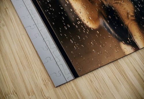 Confused German Shepherd Puppy Tilts Head At Glass Door Puppy Prints puzzle