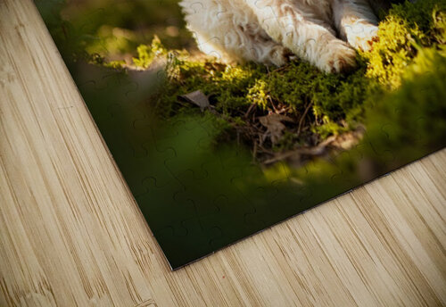 Poodle Puppy Meets New Friend In Garden Puppy Prints puzzle