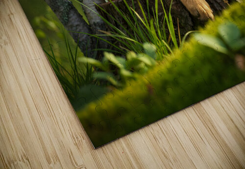 Curious Puppy King Spots Something Interesting Puppy Prints puzzle