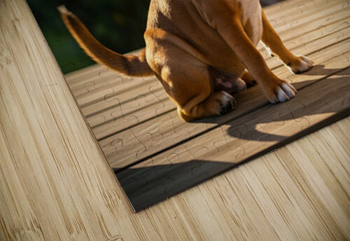 Bulldog Puppy Waves Goodbye To Mail Carrier Puppy Prints puzzle