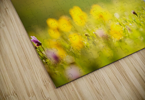 Beagle Puppy Discovers Flying Toy Puppy Prints puzzle