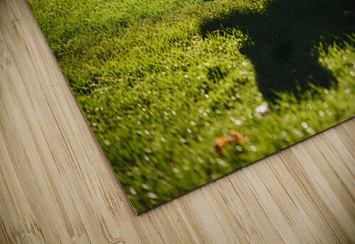 Exhausted Poodle Puppy Rests After Shadow Chase Game Puppy Prints puzzle