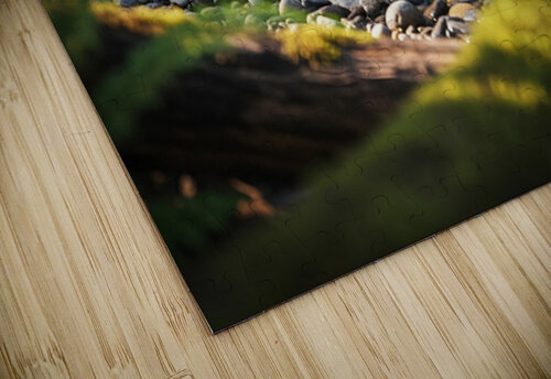 Bulldog Puppy Resting After Big Adventure Puppy Prints puzzle