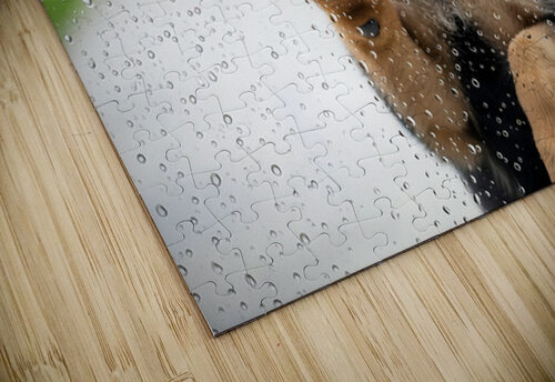 German Shepherd Puppy Discovers Raindrops On Glass Door Puppy Prints puzzle